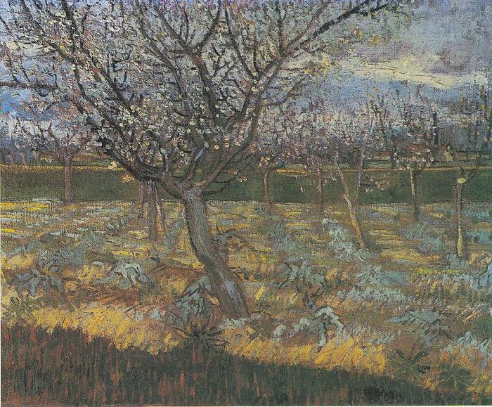 Vincent Van Gogh Flowering orchard with apricot-trees oil painting image